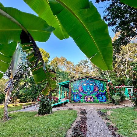 Bocawina Rainforest Resort Hopkins Exterior photo