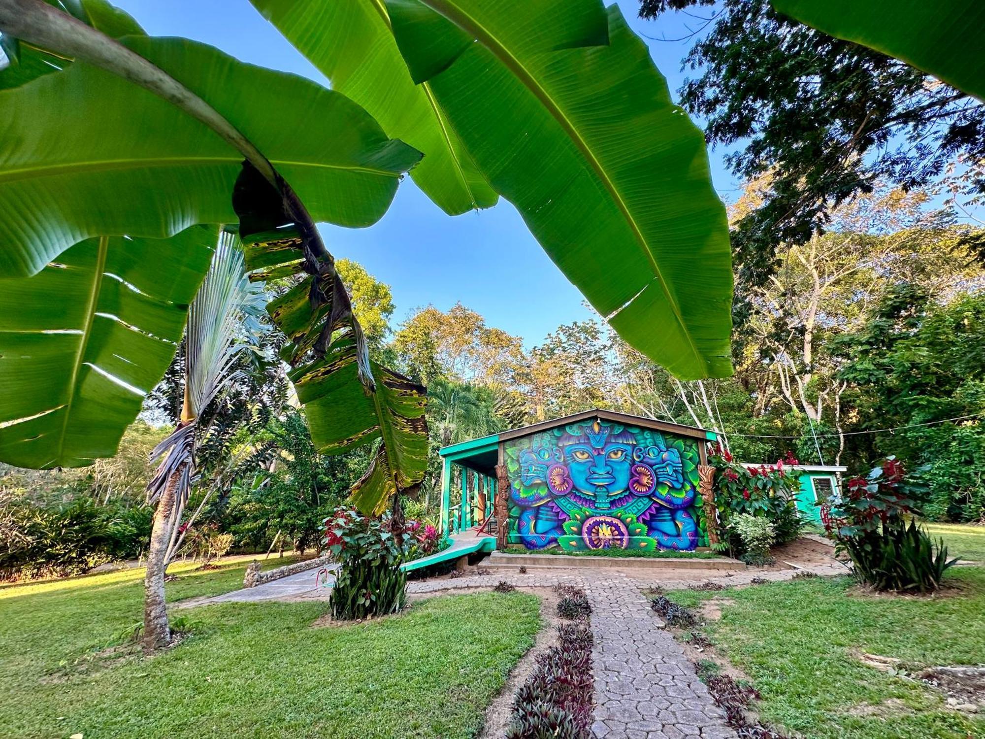 Bocawina Rainforest Resort Hopkins Exterior photo